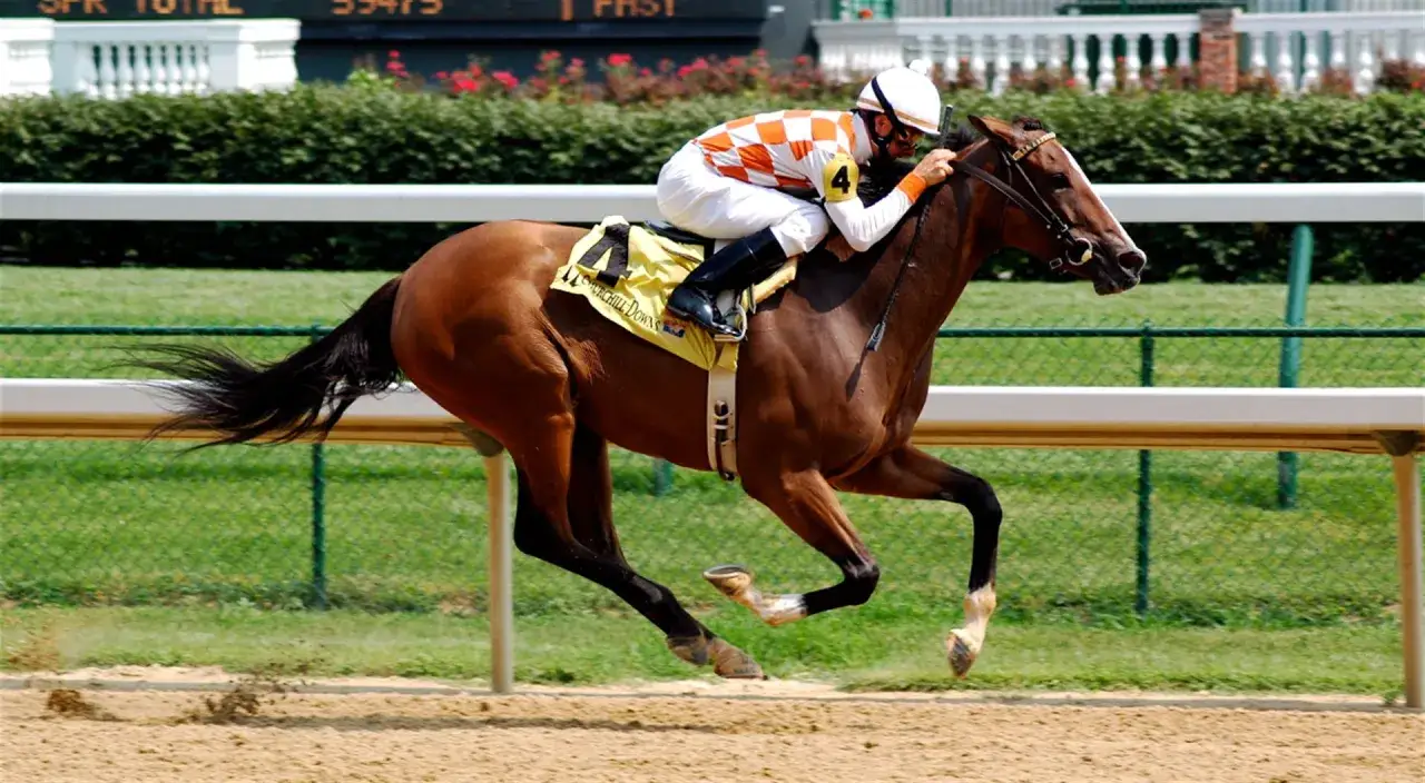 Jeździectwo na igrzyskach olimpijskich: wszystko, co musisz wiedzieć