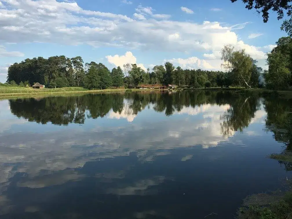 Łowisko Maślanka Psary - wszystko, co musisz wiedzieć o wędkowaniu