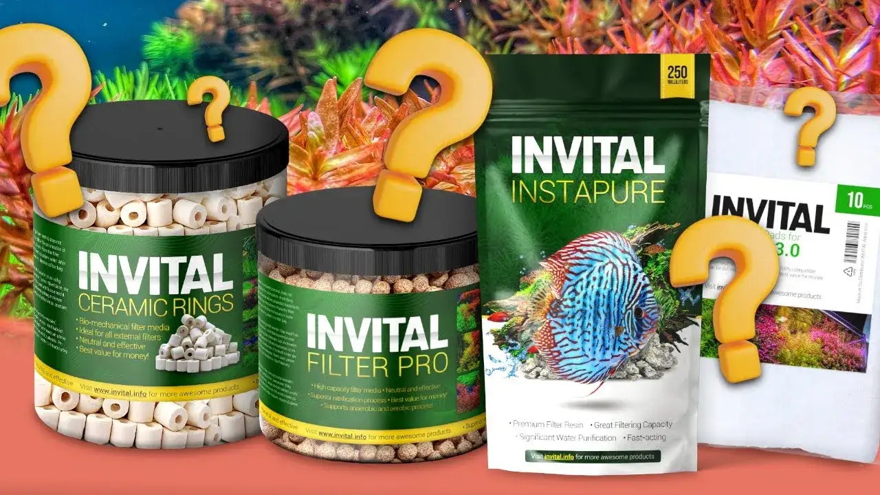 Jakie media filtracyjne do akwarium - uniknij błędów w wyborze