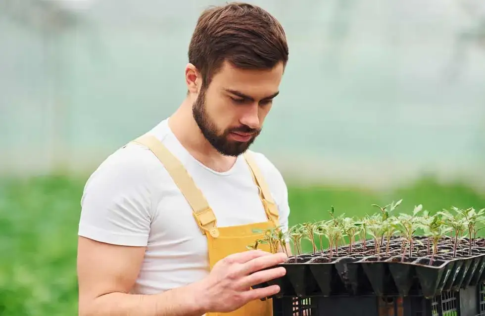 Umowa zlecenie 25 brutto ile to netto? Sprawdź, ile naprawdę zarobisz