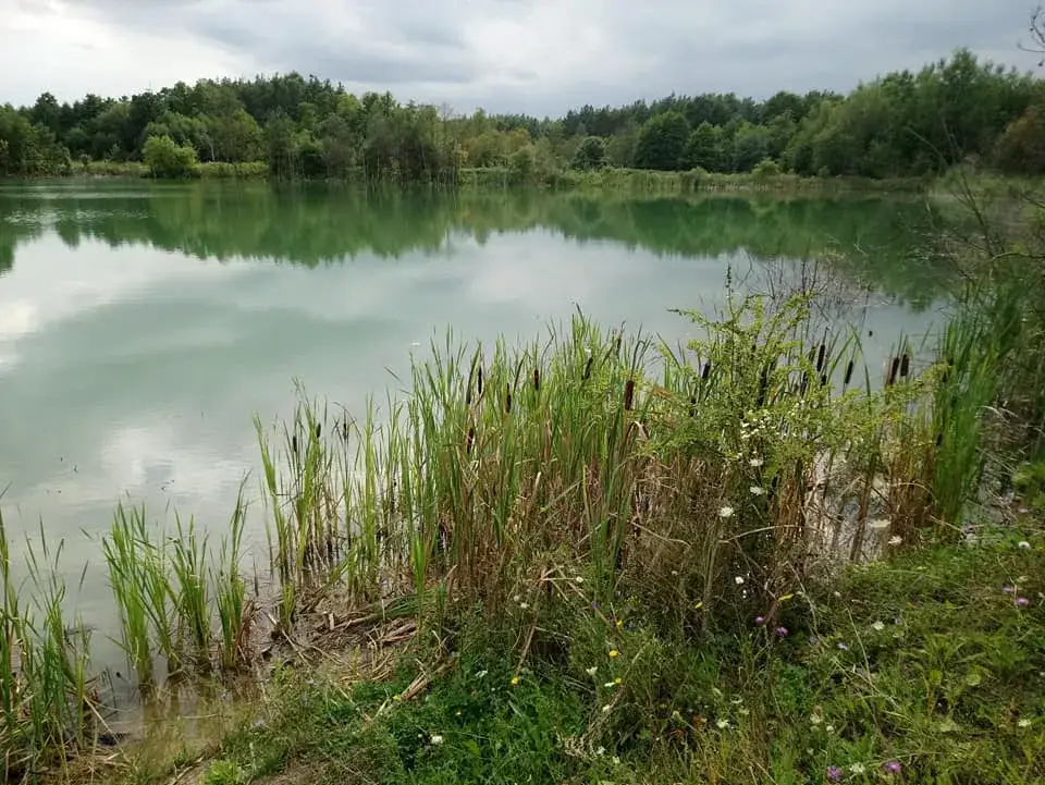 Łowisko Radziejowice – idealne miejsce na wędkarską przygodę