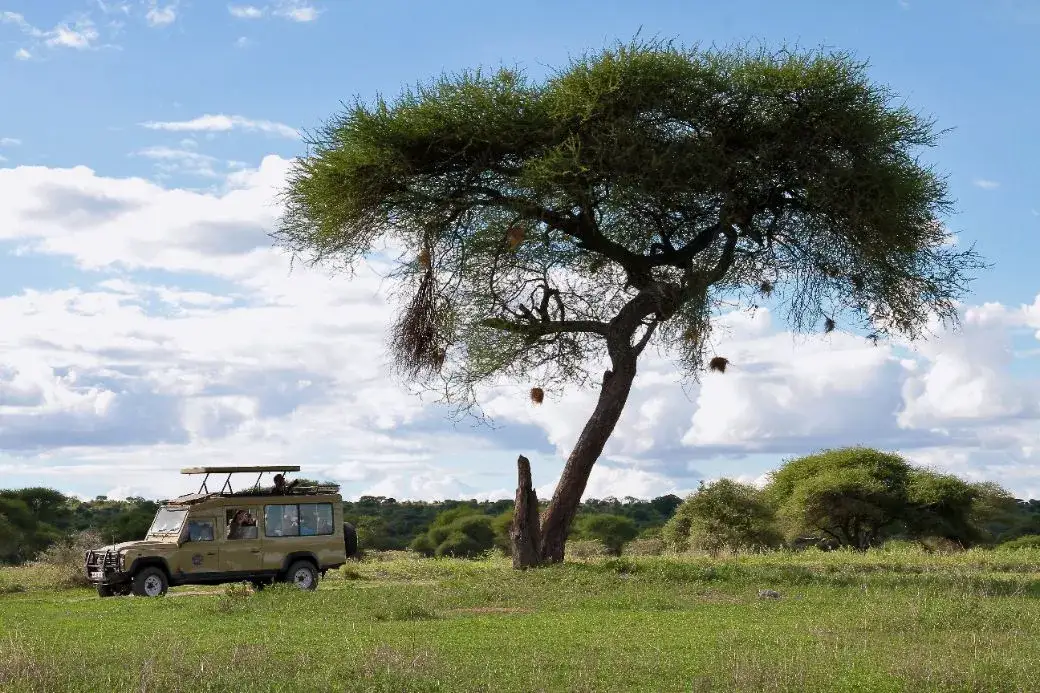 Tanzania gdzie leży? Odkryj jej położenie w Afryce Wschodniej