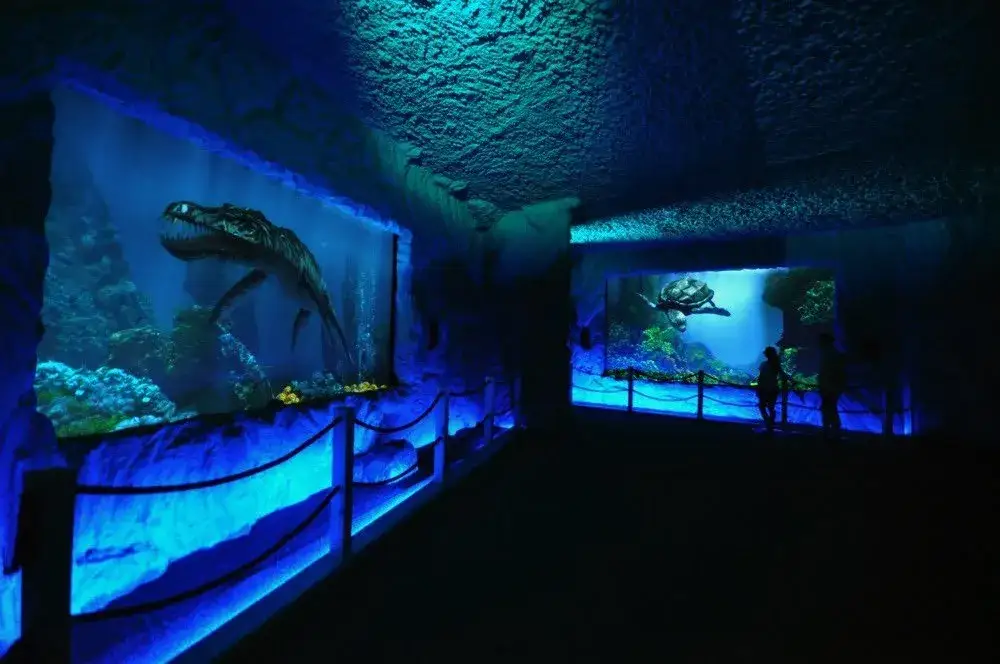 Prehistoryczne oceanarium: odkryj fascynujący świat morskich dinozaurów