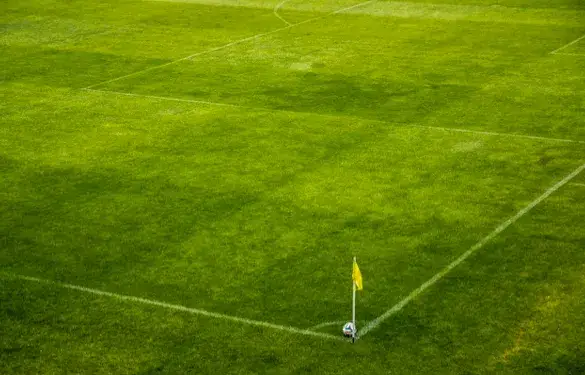 Najpopularniejsze dyscypliny sportowe na świecie – które przyciągają najwięcej kibiców?