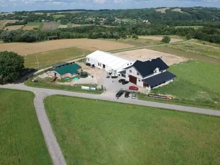 Stadnina koni Palomino w Chmielniku – usługi jeździeckie i hipoterapia