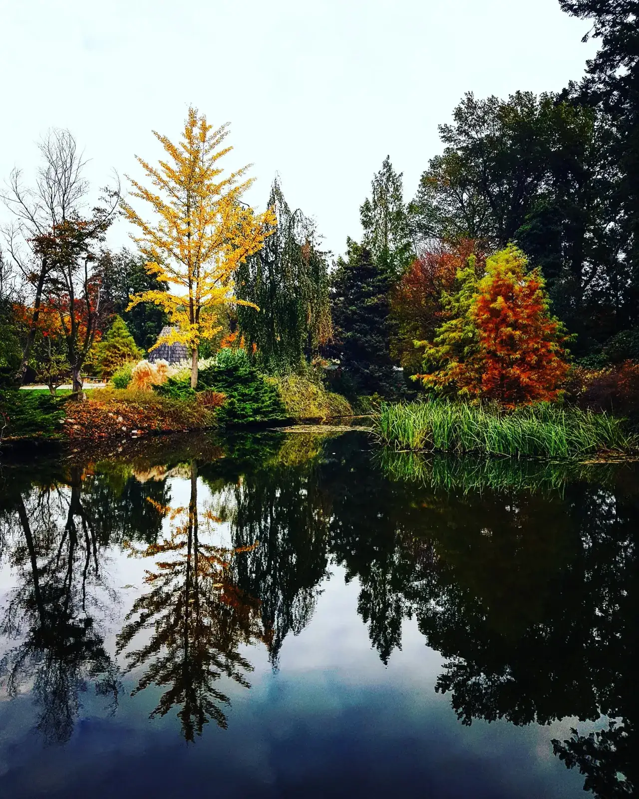 Wojsławice Arboretum: Magiczny czas zwiedzania i najpiękniejsze rośliny sezonu