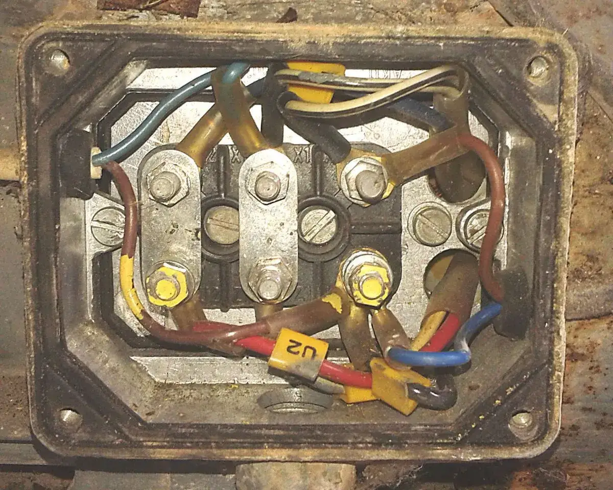 Jaki silnik do krajzegi wybrać? Porównanie typów, zalety i wady dla najlepszego wyboru