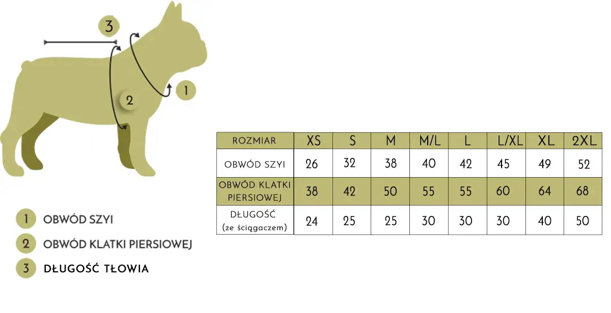 Jak dobrać rozmiar klatki dla psa: 5 najważniejszych wymiarów i zasad