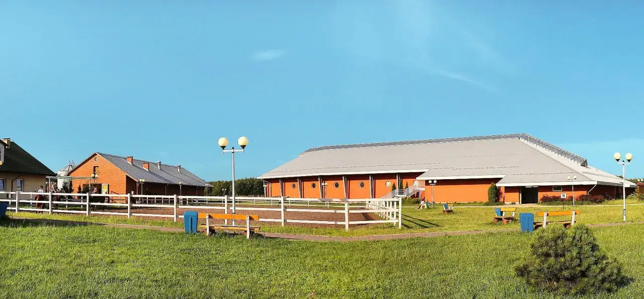 Najlepsze stadniny koni w Jaworznie - sprawdź, gdzie jeździć bez obaw