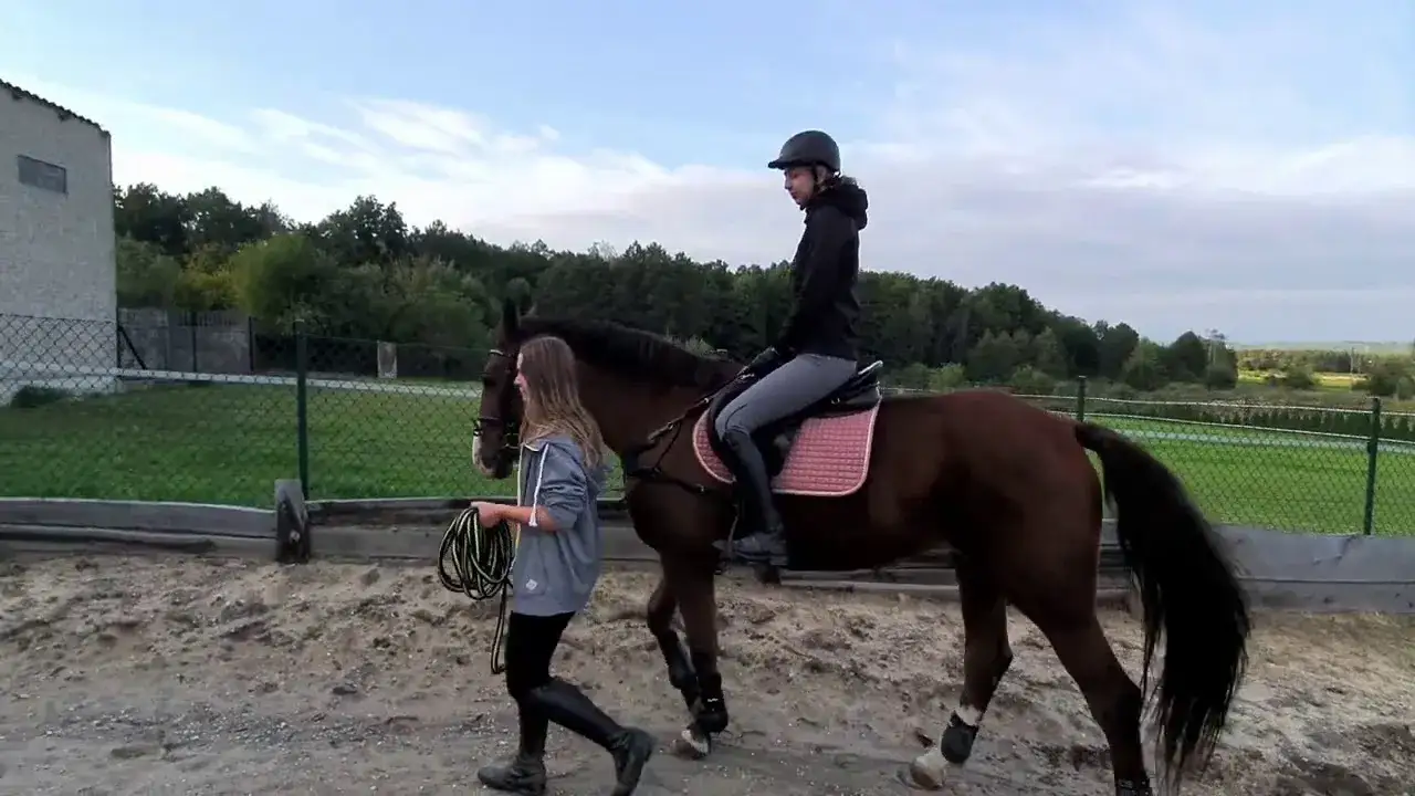 Jak nauczyć się jeździć konno i uniknąć najczęstszych błędów