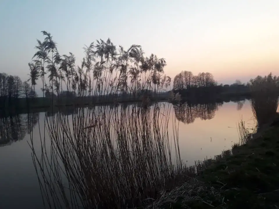 Słupia łowisko: idealne miejsce na wędkowanie z dużymi karpiami