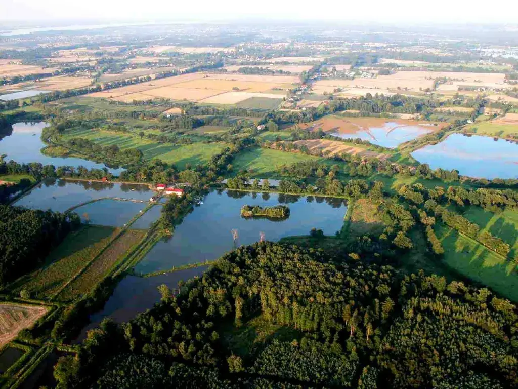 Łowisko Wodna Dolina – idealne miejsce na wędkarskie przygody w Pruchnej