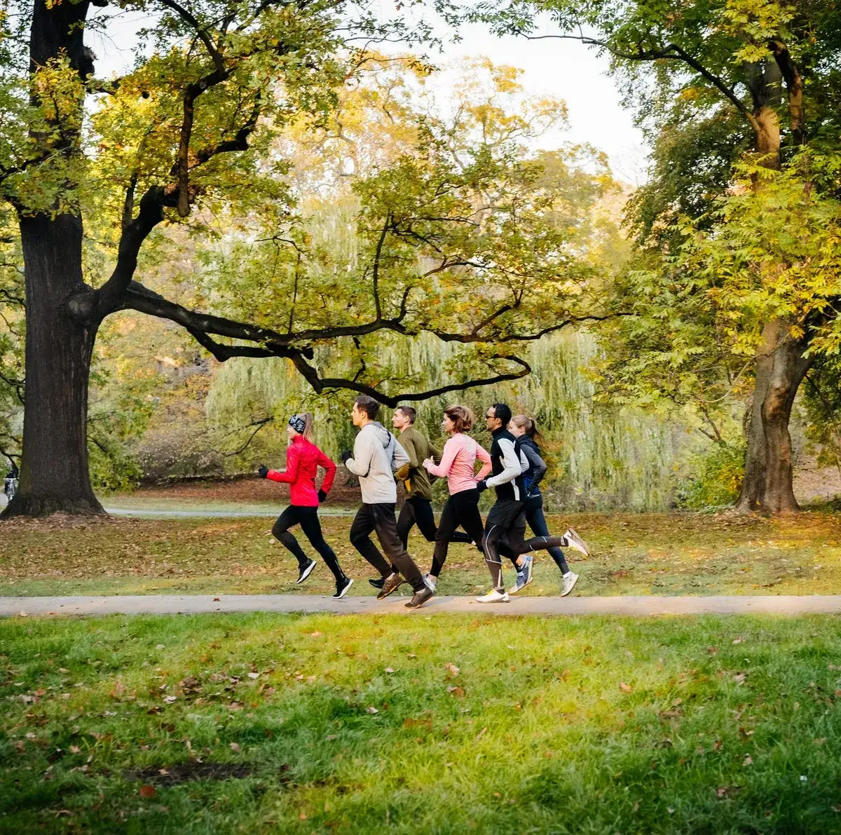 Las mejores zapatillas para correr que transformarán tu experiencia