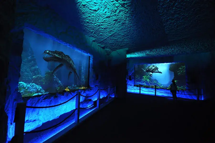 Bałtów oceanarium: Fascynujące atrakcje i edukacja o prehistorii