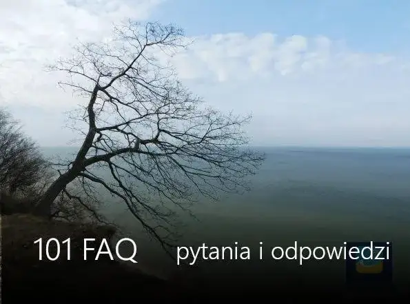 Czy w Jastrzębiej Górze jest Biedronka? Sprawdź najbliższą lokalizację