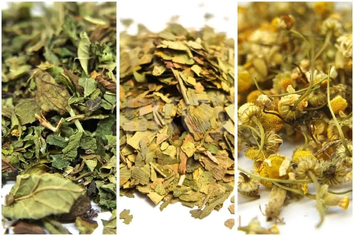 Jakie herbaty uspokajają? Poznaj najlepsze napary na relaks i sen