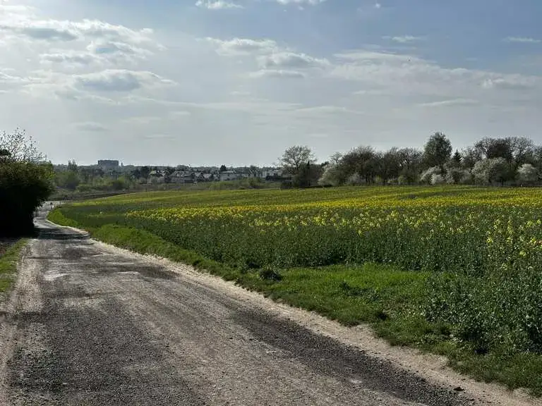 Trasa rowerowa Lublin - odkryj najpiękniejsze szlaki i trasy
