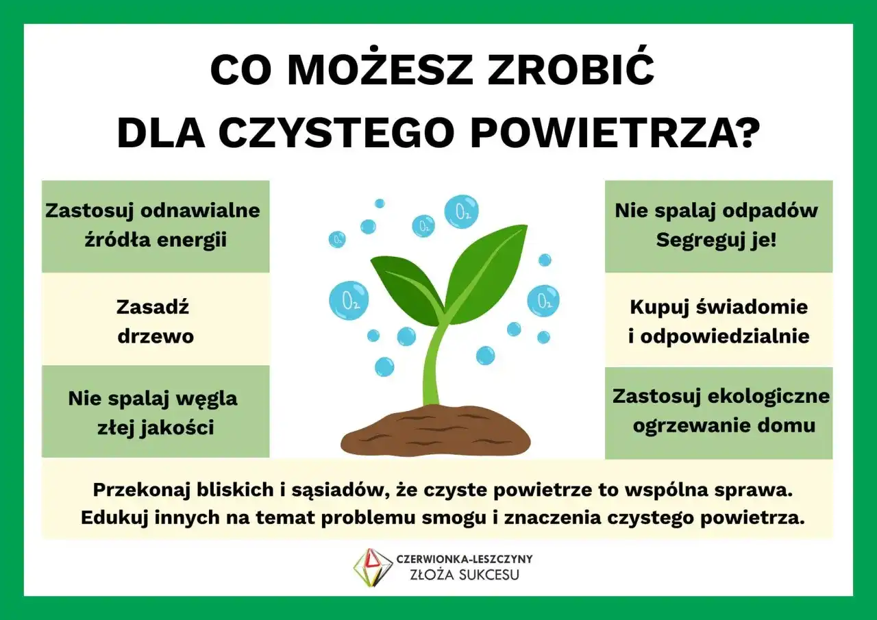Ekologiczne źródła energii w Polsce - Klucz do czystego powietrza?