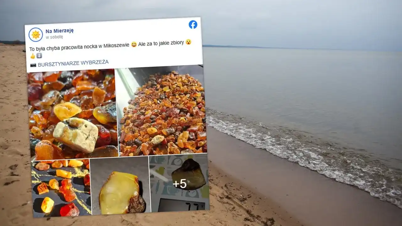 Gdzie szukać bursztynu w Polsce? Najlepsze plaże i porady