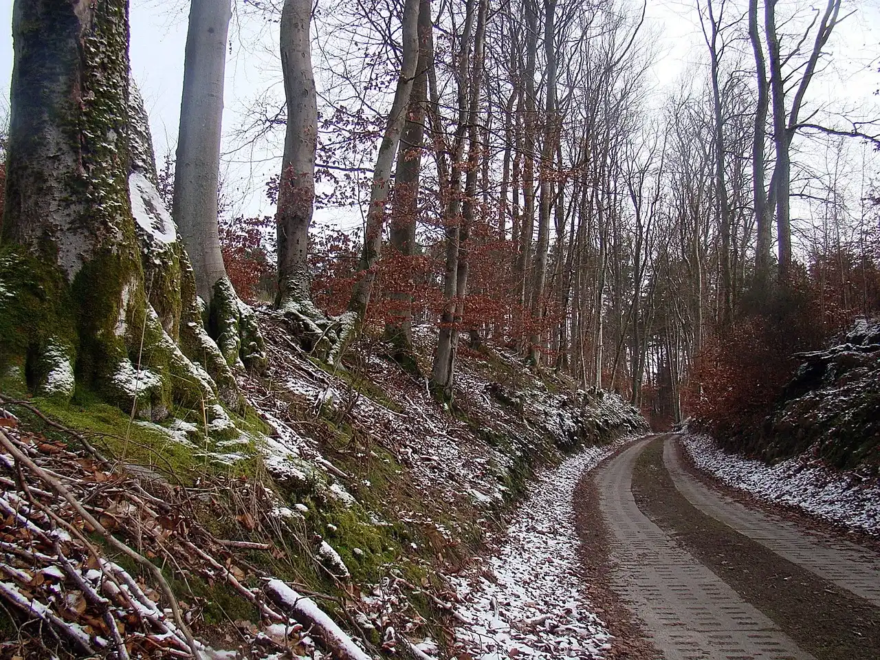 Twoja skarpa bezpieczna? Wzmocnienie przed osuwaniem - poradnik