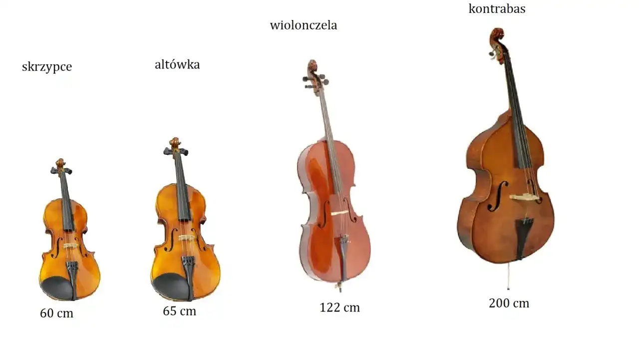 Instrumenty strunowe: podział, rodzaje i wybór pierwszego instrumentu
