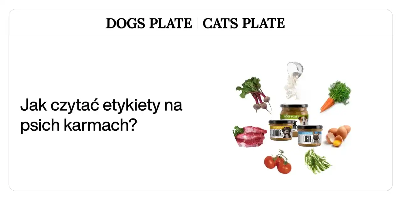 Jak wybrać karmę dla psa i kota - Co naprawdę mówi etykieta?