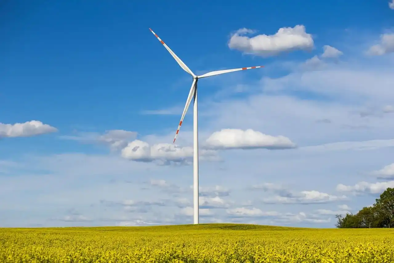 Co to jest Branża OZE? Zielona rewolucja i praca w Polsce