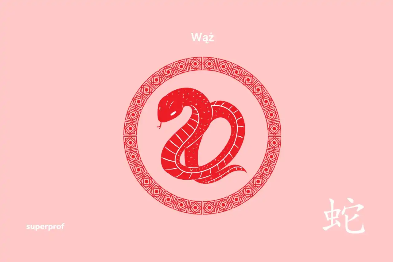 Znaki zodiaku od kiedy do kiedy - Sprawdź tabelę i uniknij pomyłki