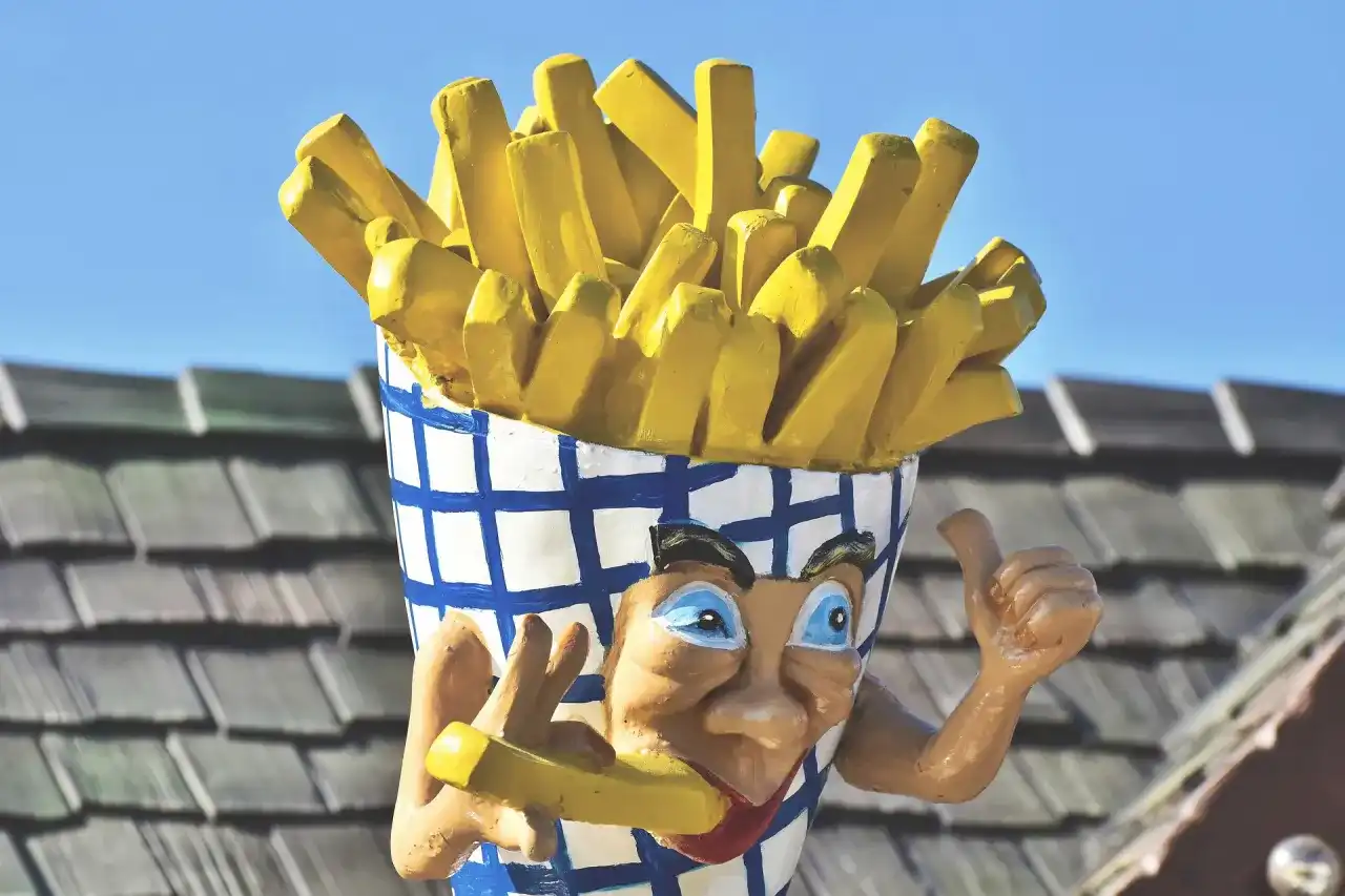Kto wymyślił frytki? Belgia czy Francja? Rozstrzygamy spór!