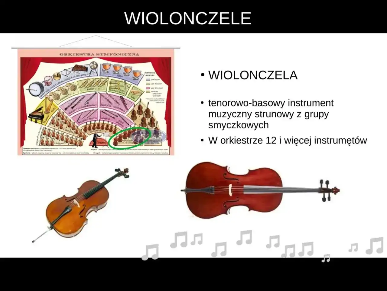Ile osób liczy orkiestra symfoniczna? Poznaj jej skład