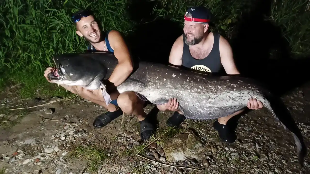 Jaki haczyk na suma? Poradnik eksperta, by złowić giganta