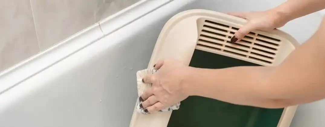 Jak często czyścić kuwetę kota, by uniknąć nieprzyjemnych zapachów