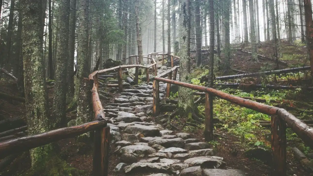 Droga pod Reglami: Łatwy spacer po Tatrach przewodnik