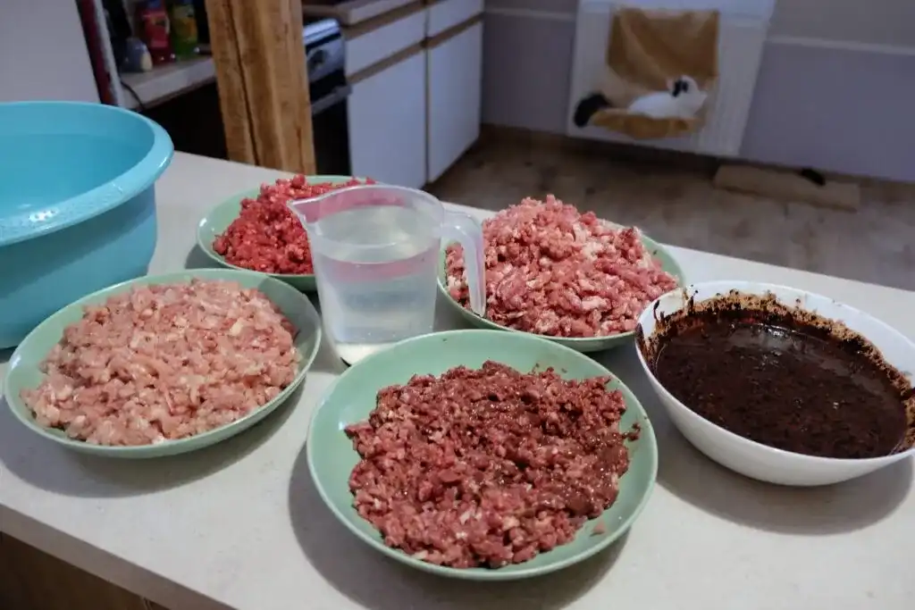 Domowy przepis na BARF dla kota: zdrowe i naturalne żywienie