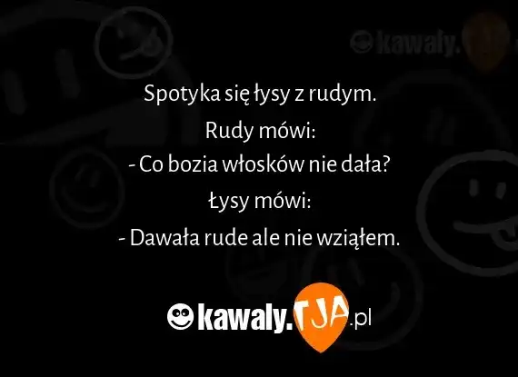 Dowcipy o lisie: Najlepsze kawały o rudym spryciarzu!