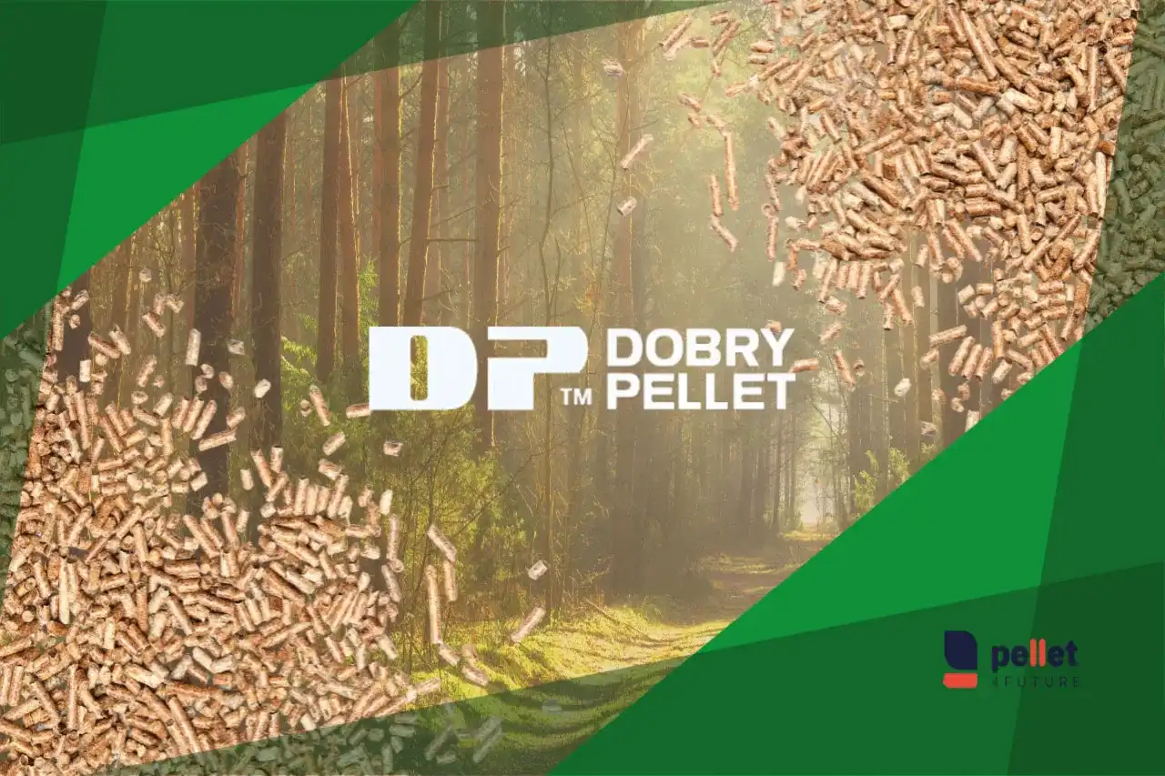 Jaki pellet jest najlepszy? Certyfikaty, parametry i praktyczny wybór