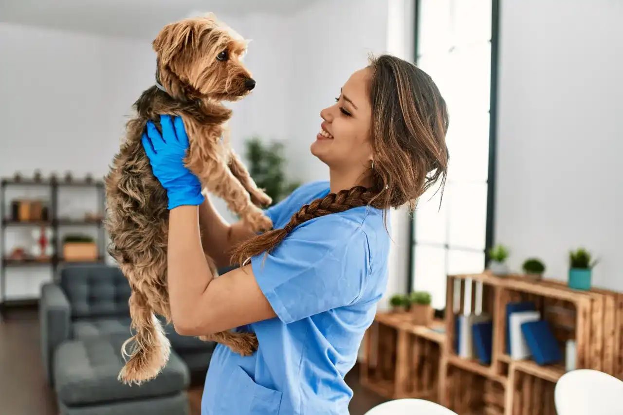 Ile kosztuje wizyta weterynarza w domu? Sprawdź ceny i zalety