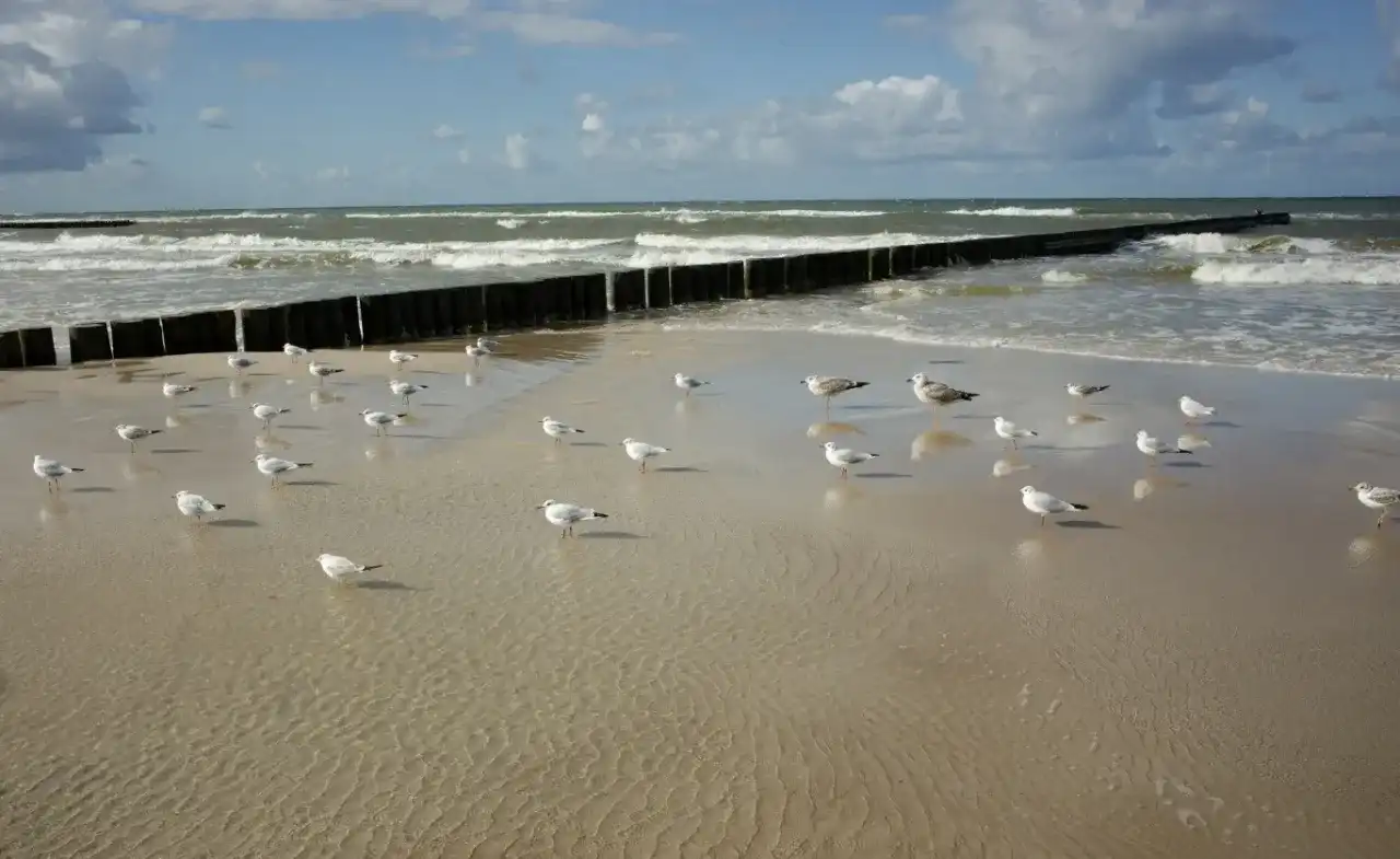 Czy nad każdym morzem jest jod? Sprawdź, gdzie jest go najwięcej