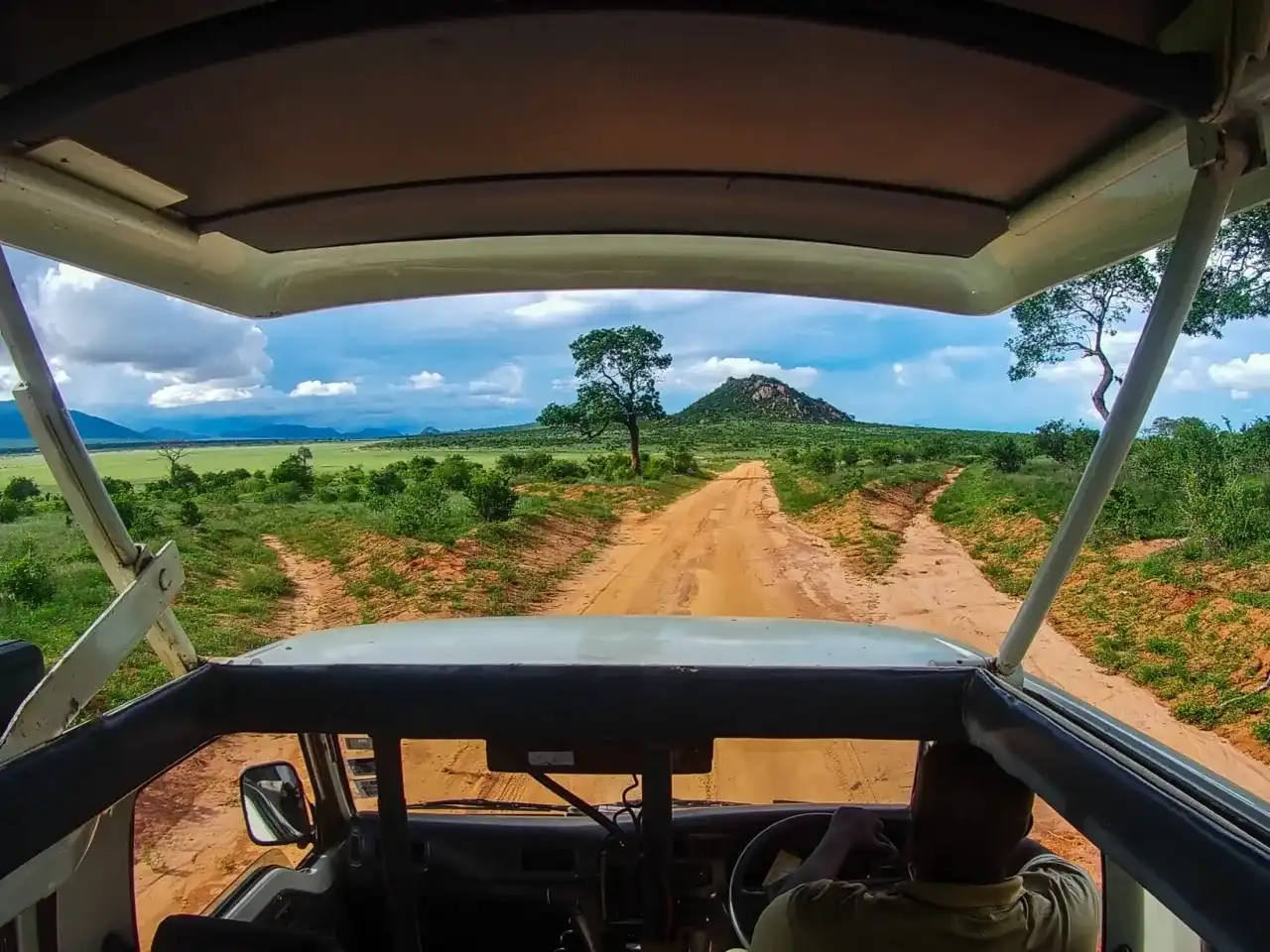 Park Narodowy Tsavo: Przewodnik po safari i planowaniu wyjazdu