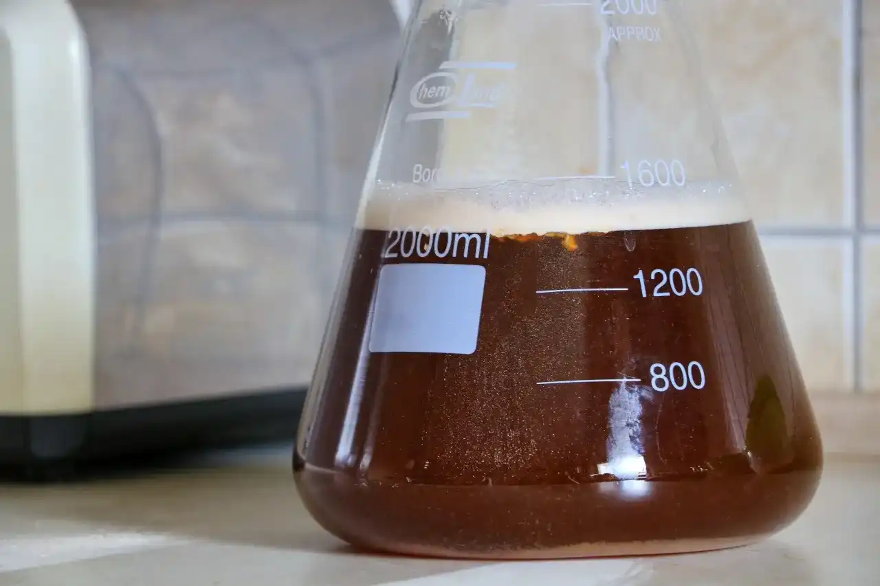 Starter drożdżowy: szybki start fermentacji piwa krok po kroku