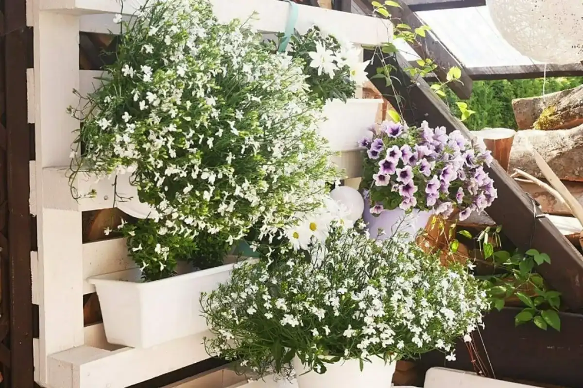 Jakie kwiaty do kwietnika z palet - najlepsze rośliny na balkon