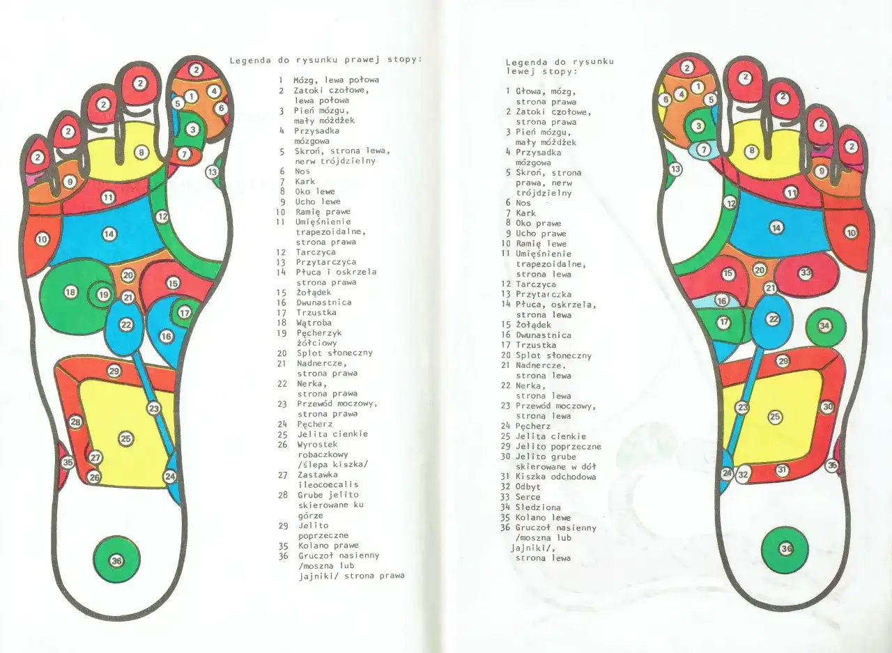 Receptory na stopach: mapa, korzyści i jak masować poradnik