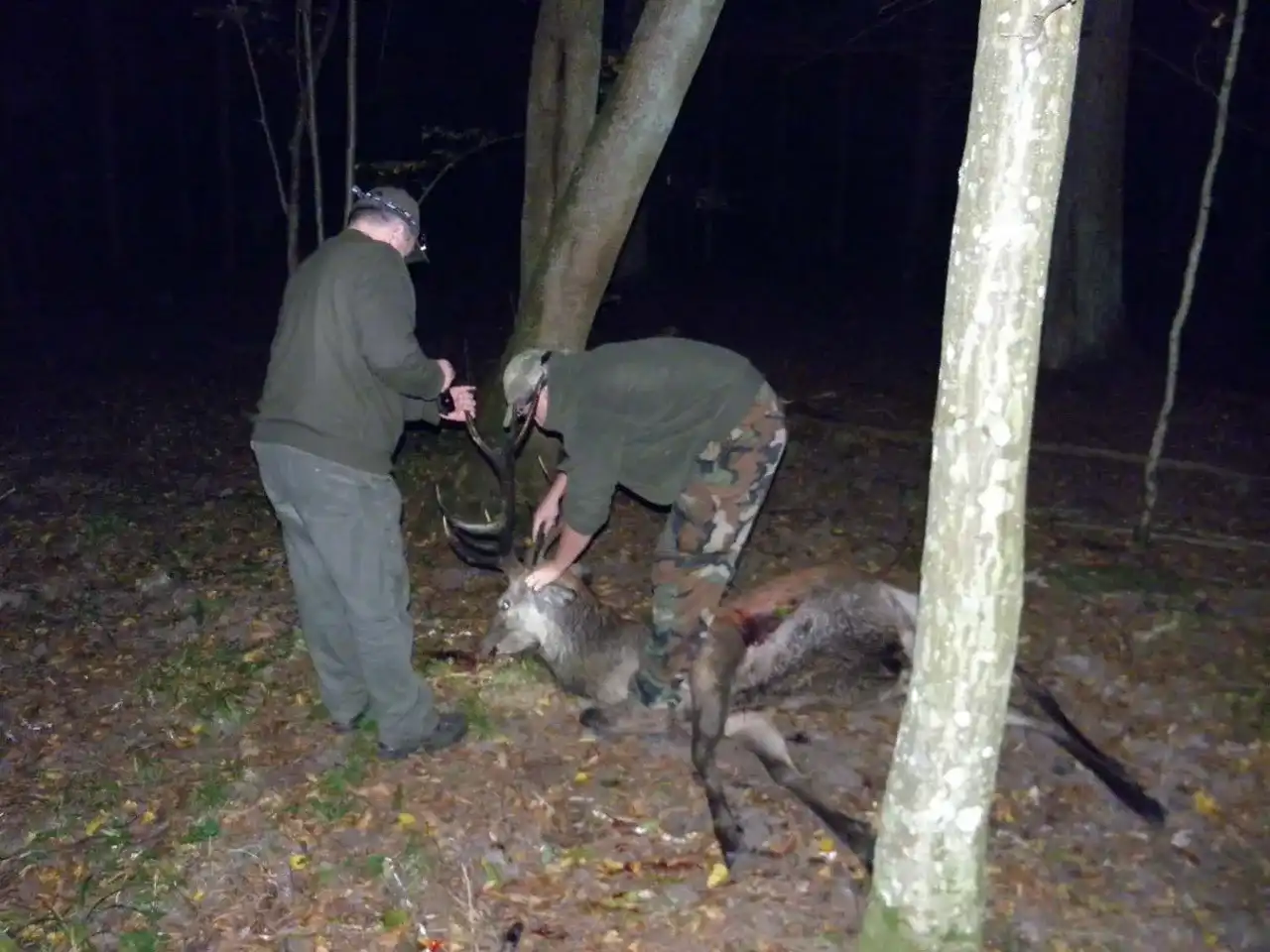 Co myśliwy robi z upolowaną zwierzyną? Pełny przewodnik