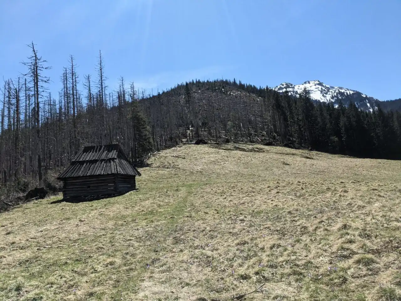 Polana Huty Lejowe: Spokojny szlak w Tatrach Zachodnich