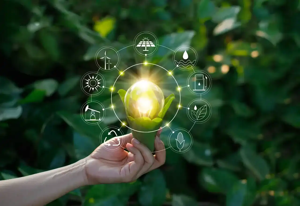 Odnawialne źródła energii - Polska ma 50% OZE! Co to znaczy dla Ciebie?