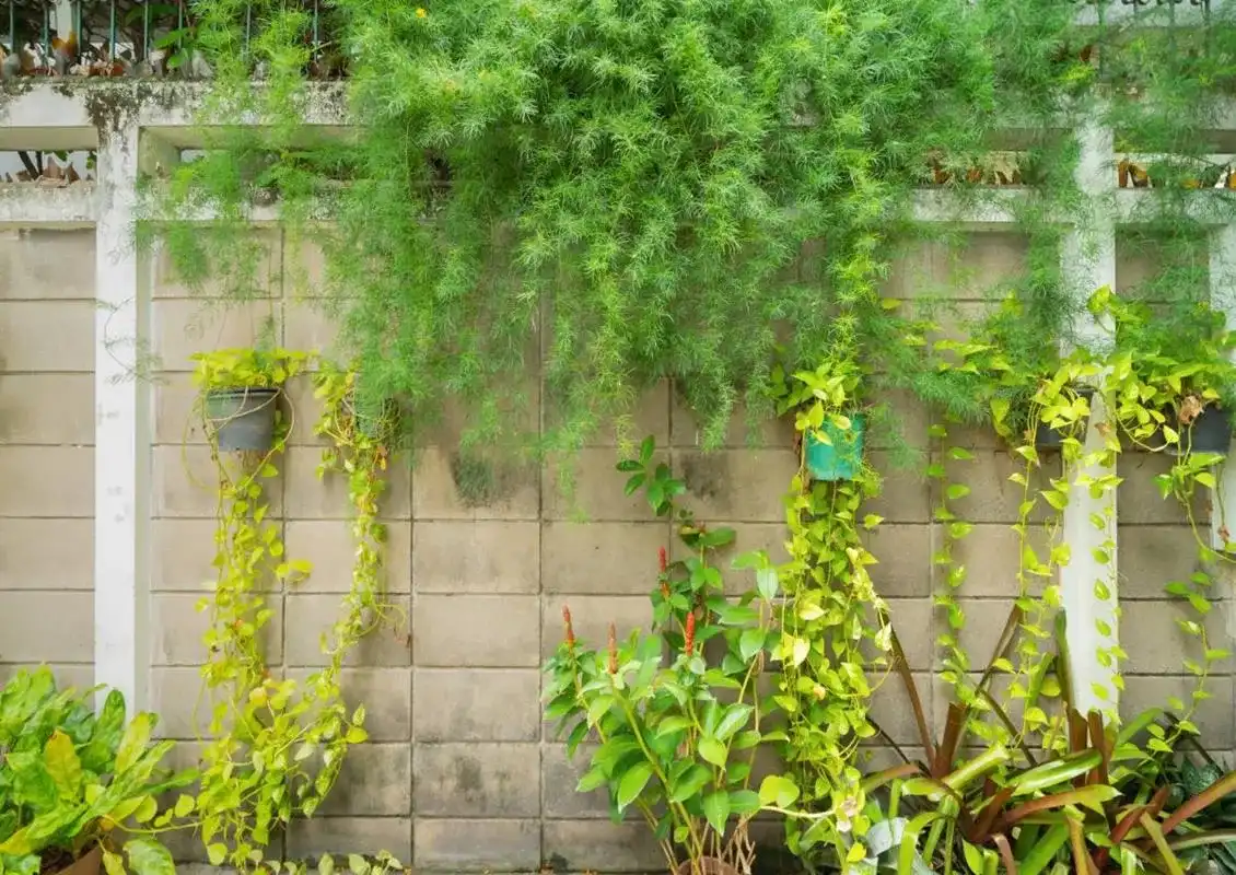 Jak ozdobić płot betonowy? 10 kreatywnych pomysłów na metamorfozę