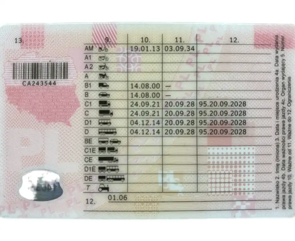 Czy na busa trzeba mieć prawo jazdy? Sprawdź wymagania i kary