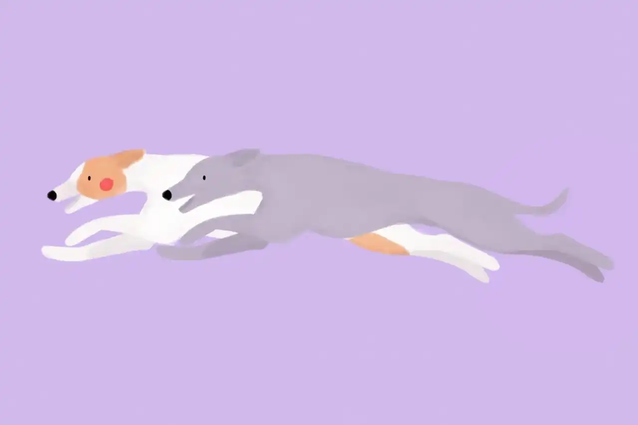 Jak szybko biega pies? Poznaj rekordy i tajemnice szybkości!