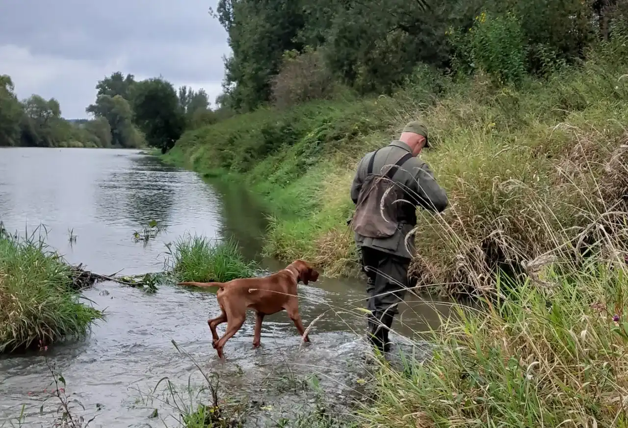 Czy myśliwy może polować sam z psem? Przepisy i zasady