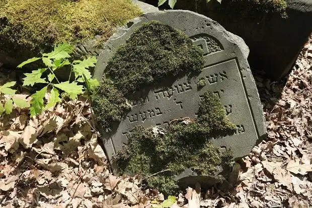 Co oznaczają kamienie na pomniku? Odkryj ich głębokie znaczenie